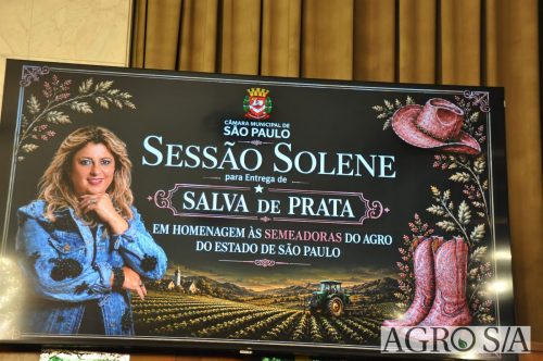 JULIANA-SALVA-DE-PRATA-118