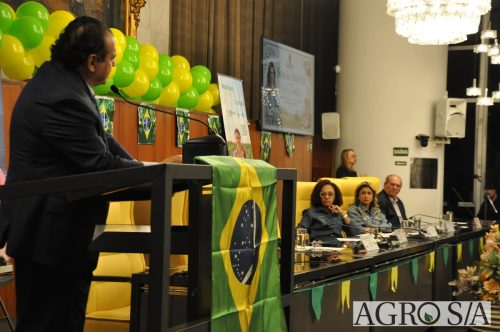 JULIANA-SALVA-DE-PRATA-142