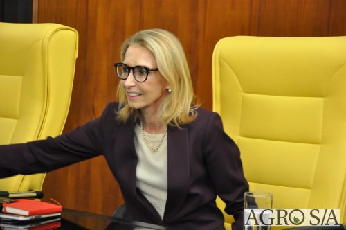 JULIANA-SALVA-DE-PRATA-147