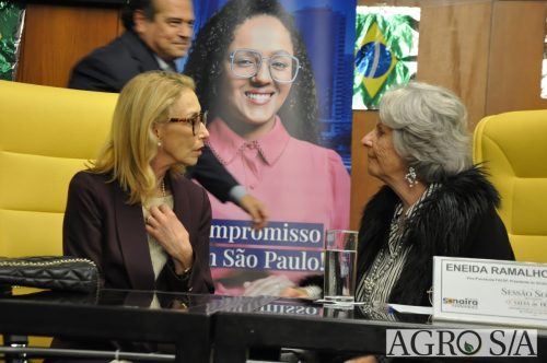 JULIANA-SALVA-DE-PRATA-149