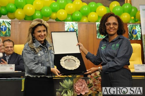JULIANA-SALVA-DE-PRATA-152