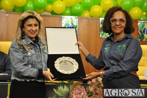 JULIANA-SALVA-DE-PRATA-153