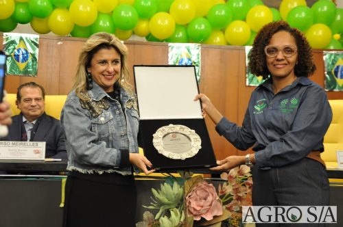 JULIANA-SALVA-DE-PRATA-154