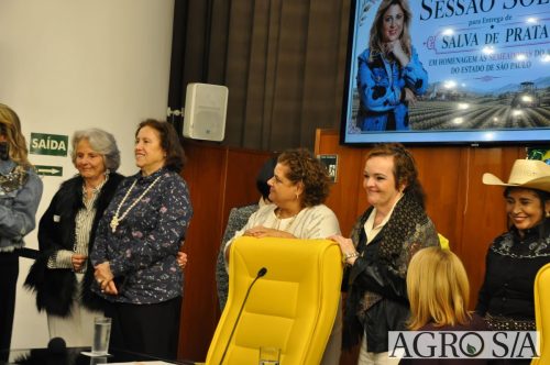 JULIANA-SALVA-DE-PRATA-168