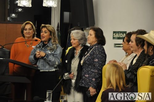 JULIANA-SALVA-DE-PRATA-172
