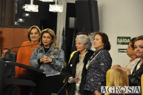 JULIANA-SALVA-DE-PRATA-173