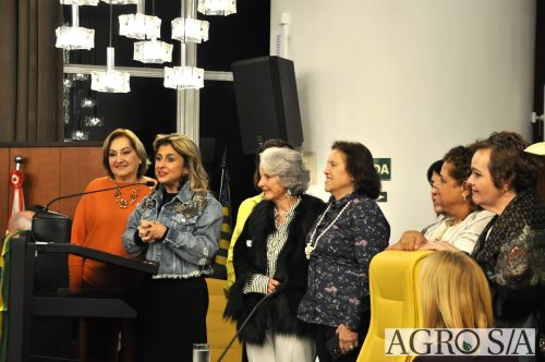 JULIANA-SALVA-DE-PRATA-175