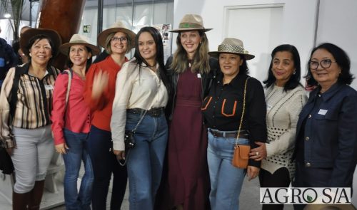 JULIANA-SALVA-DE-PRATA-20
