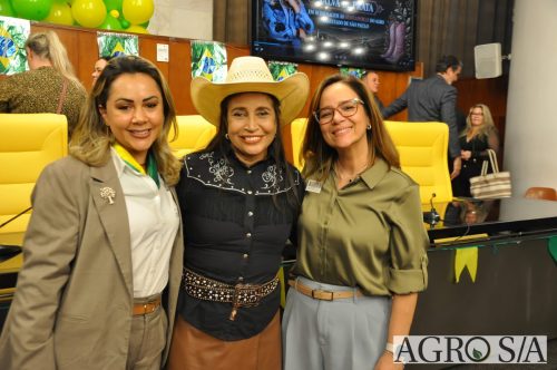 JULIANA-SALVA-DE-PRATA-200