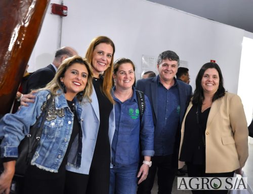 JULIANA-SALVA-DE-PRATA-59