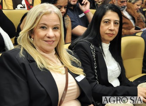 JULIANA-SALVA-DE-PRATA-66