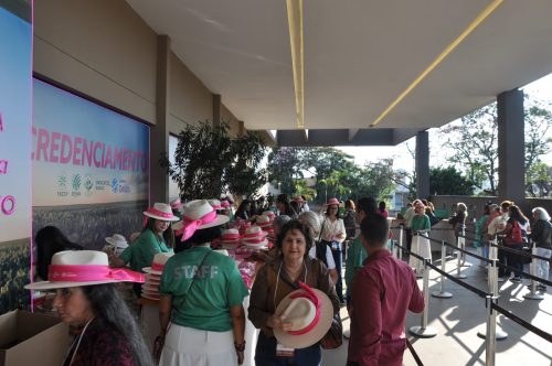 SEMEADORAS-PRONTA-281