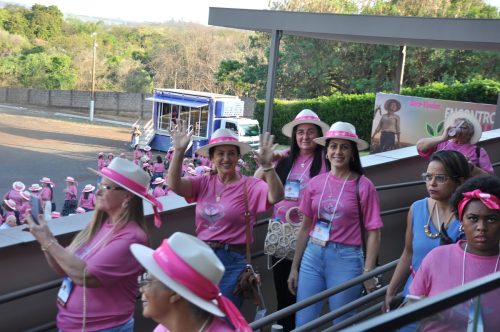 SEMEADORAS-PRONTA-482