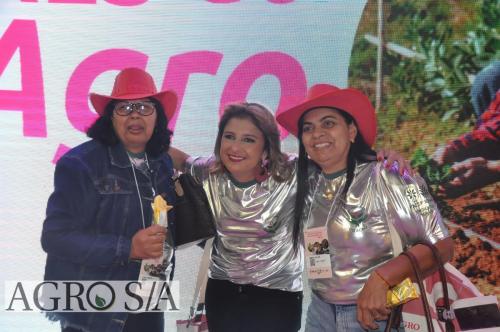 semeadoras-101