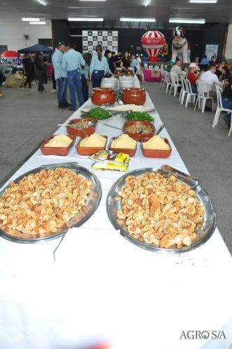 1-RIO-CLARO-155