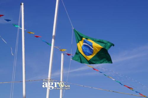 DSC09785