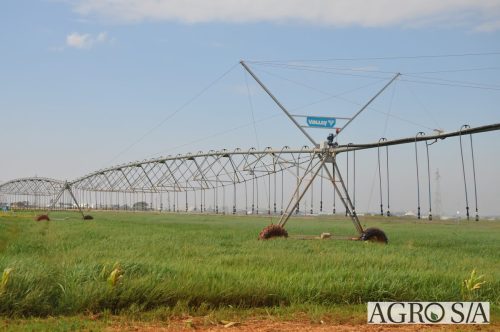 UNIUBE-CIDADE-DO-AGRO-2