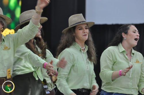 2-dia-xanxere-696