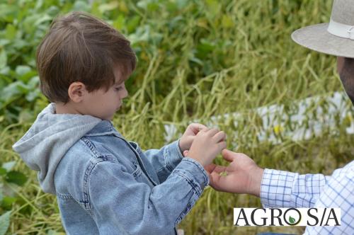 DEDEAGRO-11-02-115