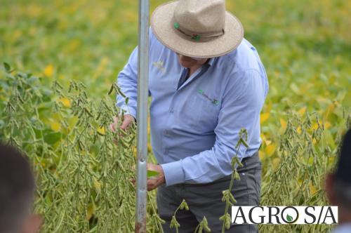 DEDEAGRO-11-02-128