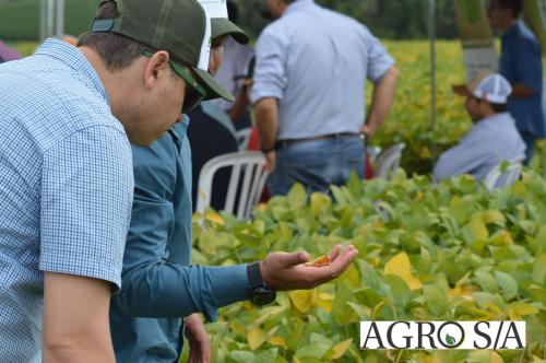 DEDEAGRO-11-02-136