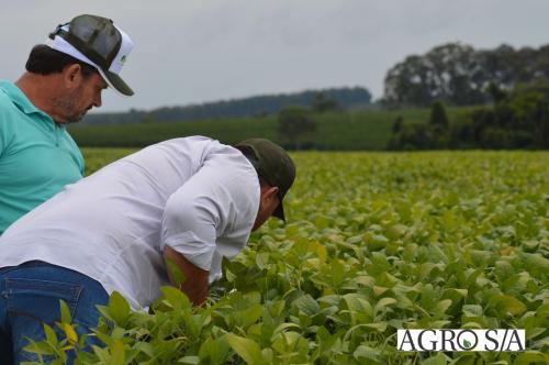 DEDEAGRO-11-02-192