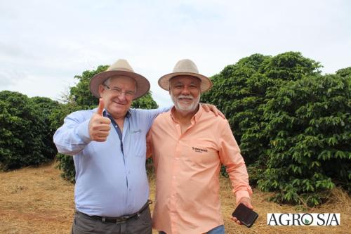DEDEAGRO-11-02-31