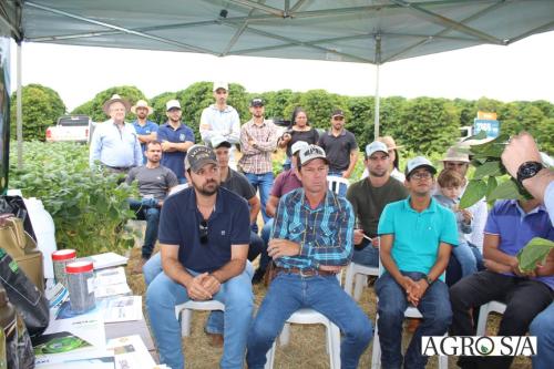 DEDEAGRO-11-02-33