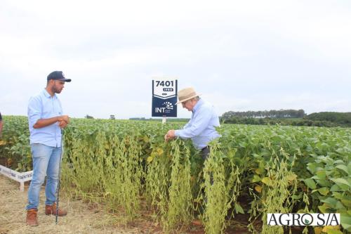 DEDEAGRO-11-02-43
