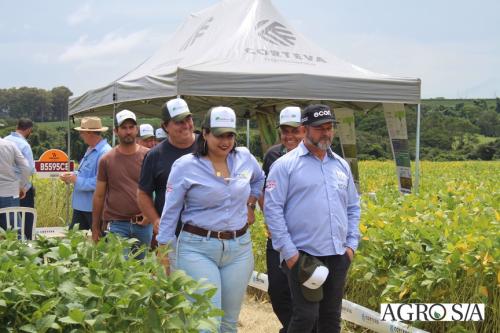 DEDEAGRO-11-02-52