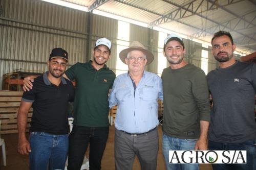 DEDEAGRO-11-02-87